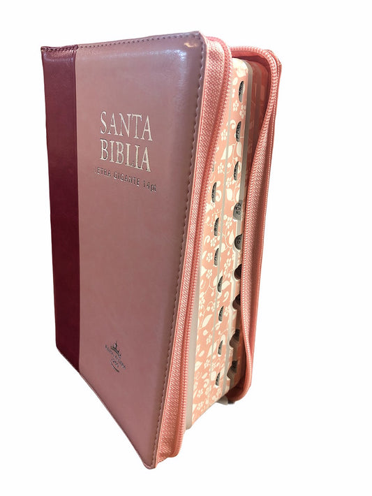 Biblia Reina Valera 1960 Mediana Letra Gigante Imitación Piel Rosa Rosa Indice cierre mujer