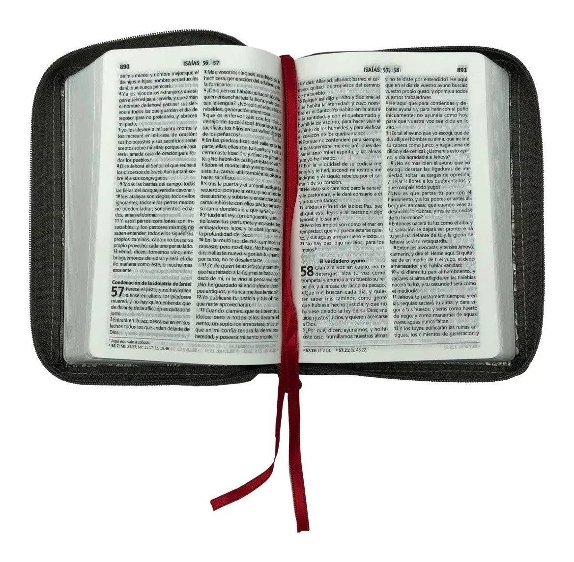 Biblia RVR 1060 para la mujer flores plateadas