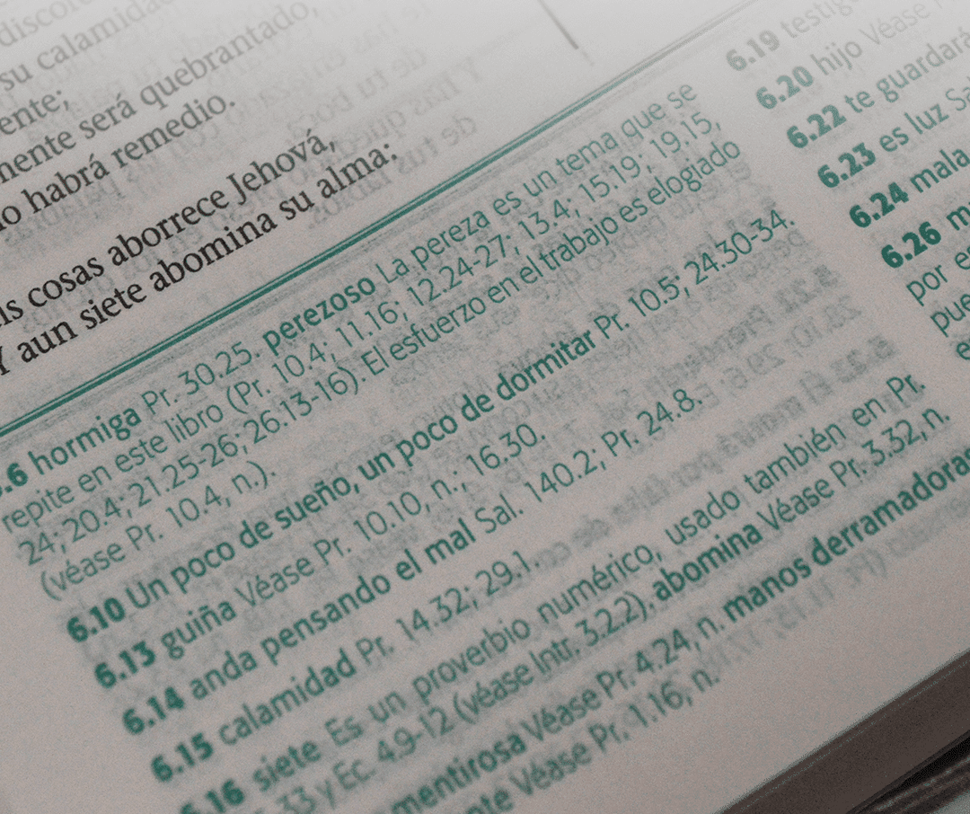 Biblia de Estudio Esquematizada RVR1960 mediana tapa dura