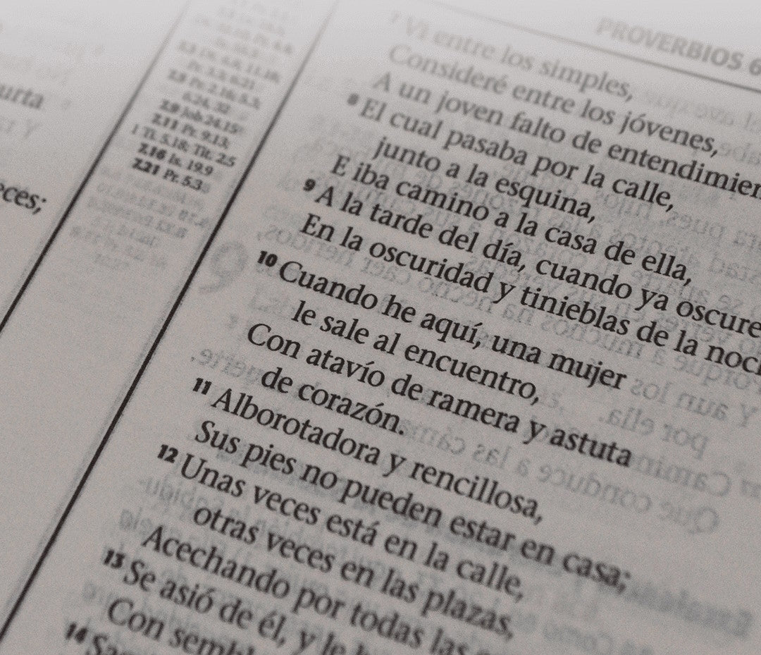Biblia de Estudio Esquematizada RVR1960 mediana tapa dura