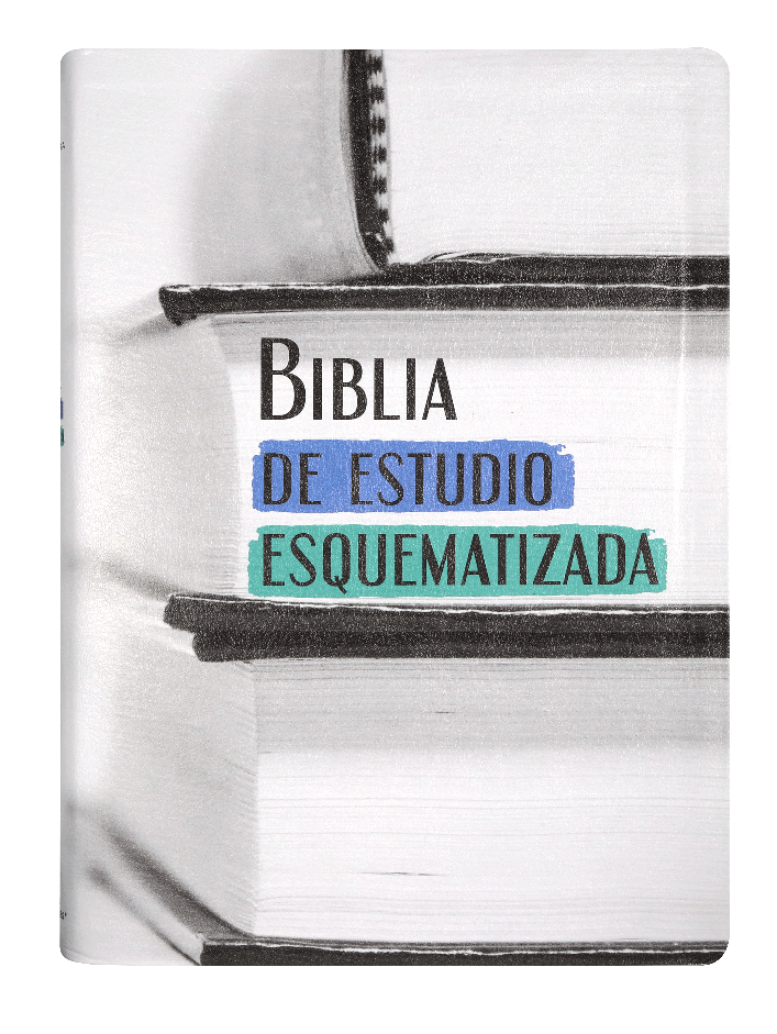 Biblia de Estudio Esquematizada RVR1960 grande índice