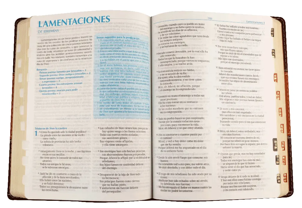 Biblia para la predicación RVR 1960 con índice