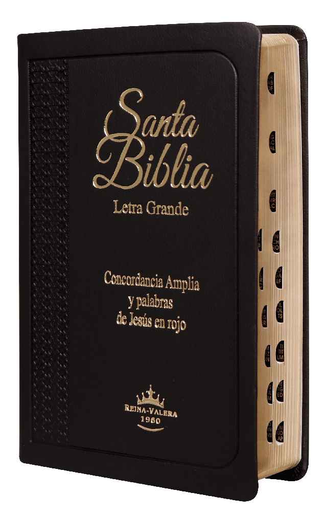 Biblia RVR 1960 Letra Grande PJR índice negro y canto dorado