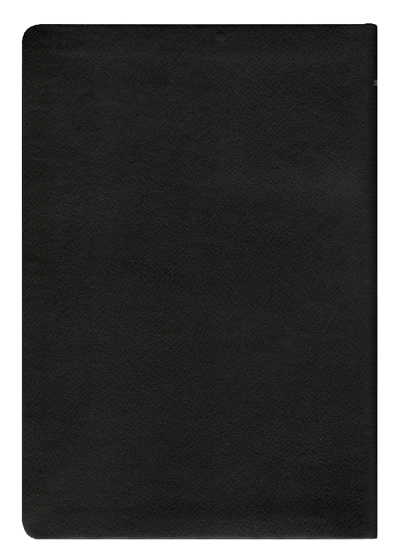 Biblia RVR 1960 Letra Grande PJR índice negro y canto dorado