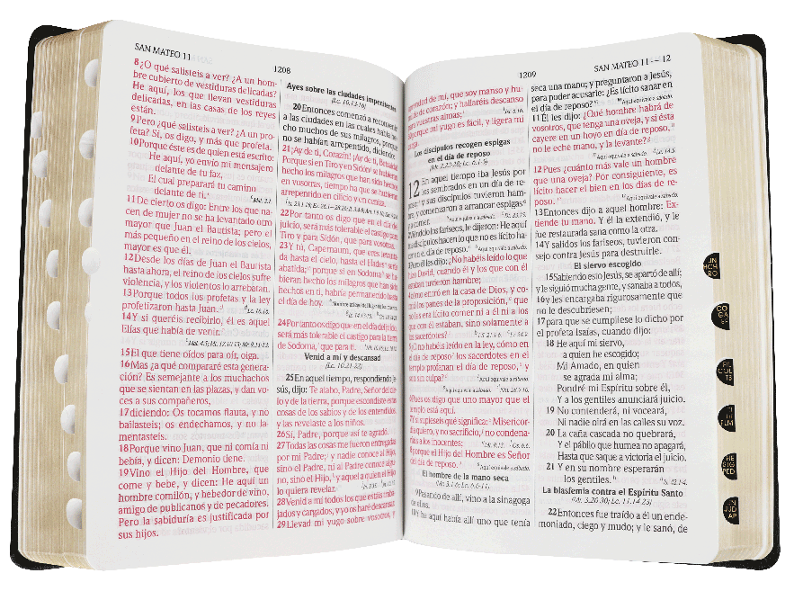 Biblia RVR 1960 Letra Grande PJR índice negro y canto dorado