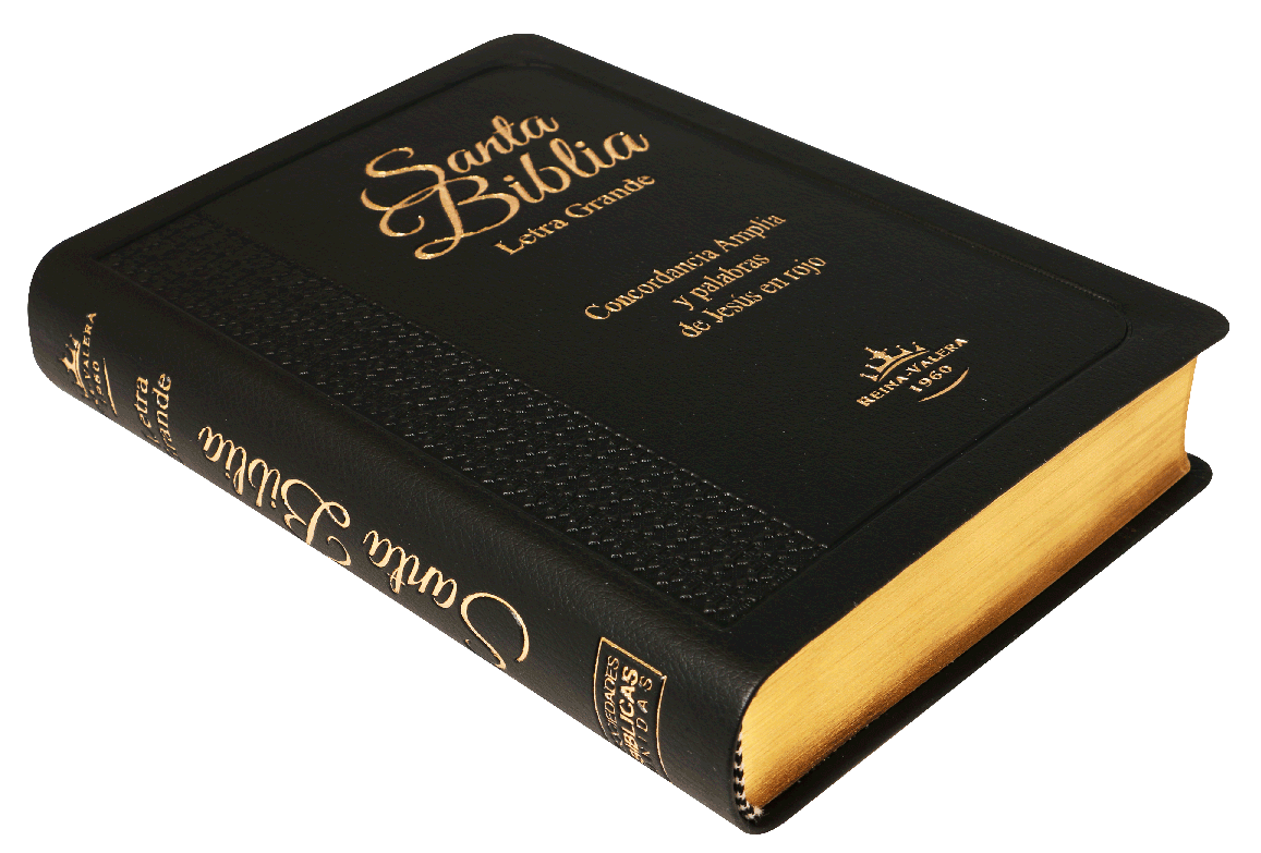 Biblia RVR 1960 Letra Grande PJR índice negro y canto dorado