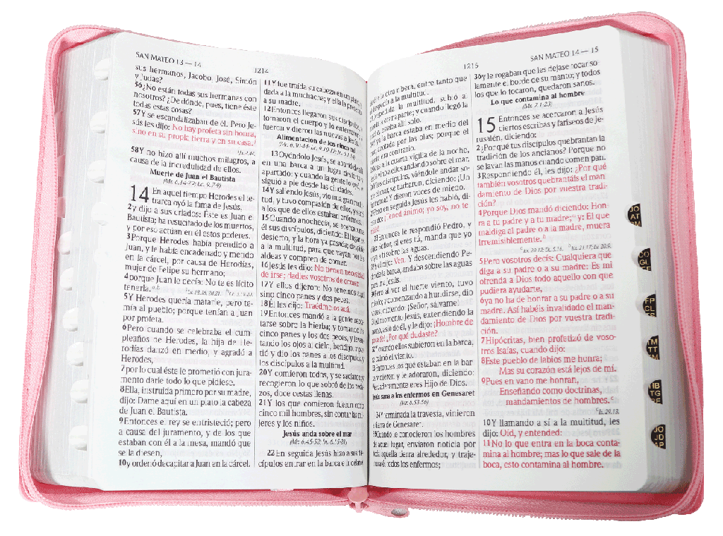 Biblia RVR1960 Letra Grande cierre e índice rosa