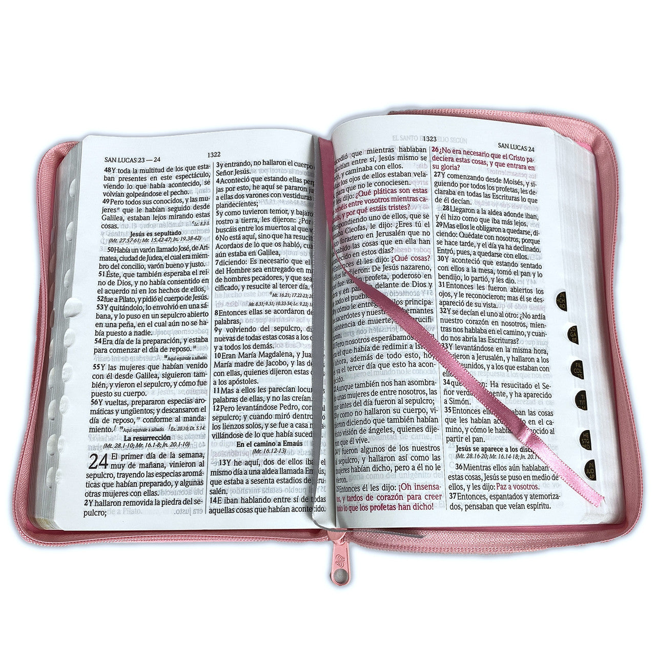 Biblia RVR1960 Letra Grande cierre e índice rosa
