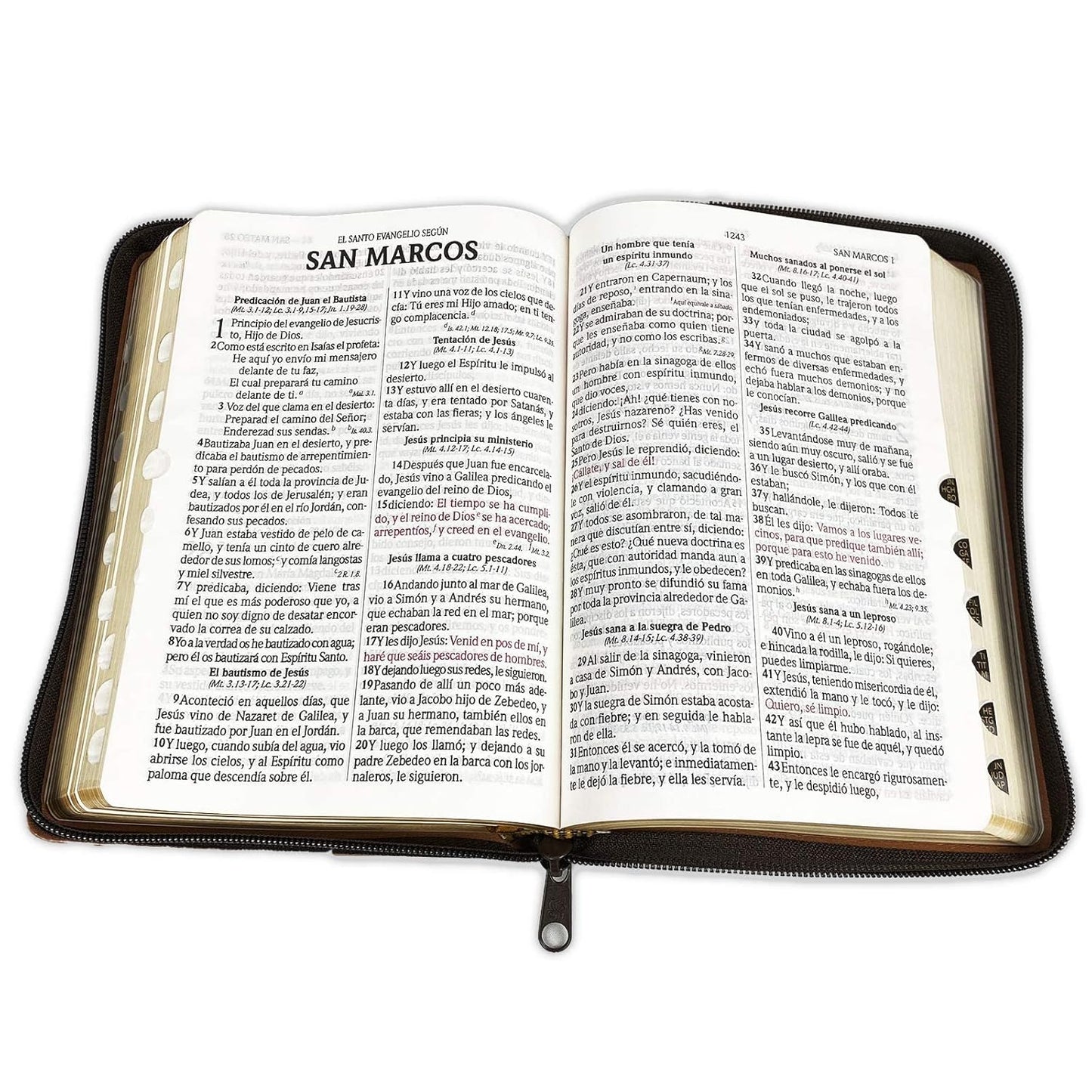Biblia RVR1960 Letra Grande cierre e índice marrón