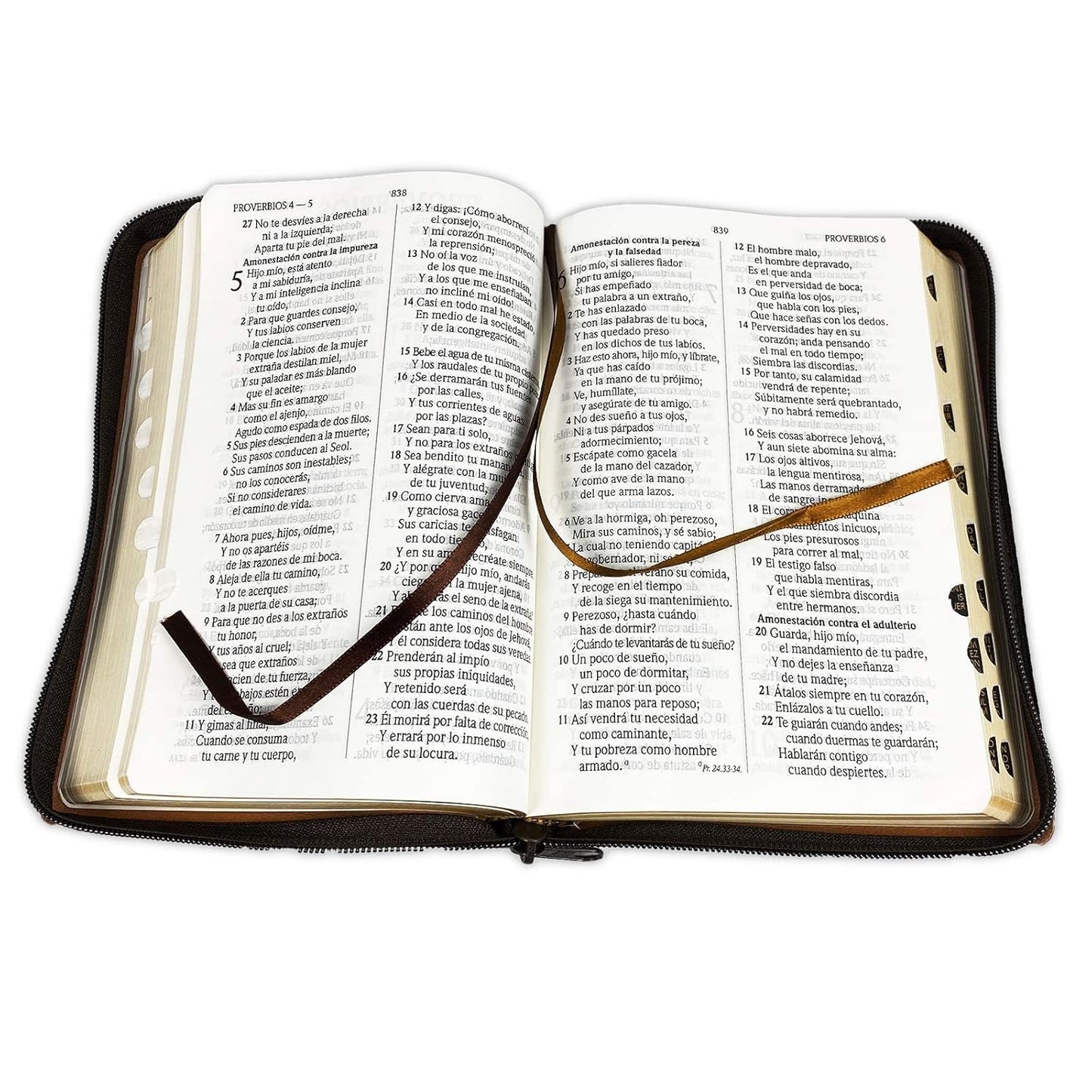 Biblia RVR1960 Letra Grande cierre e índice marrón