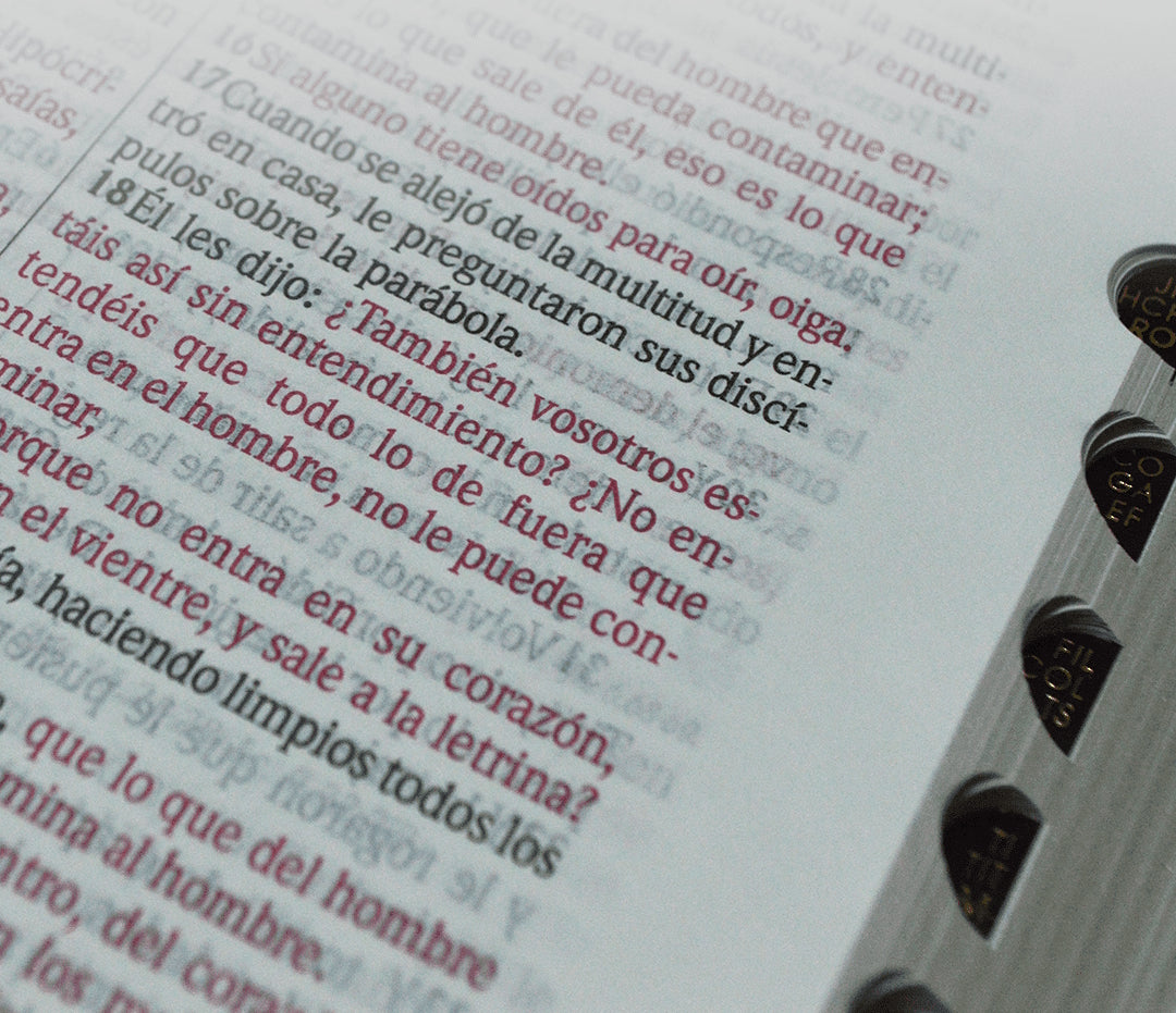 Biblia RVR1960 Letra Grande cierre e índice marrón