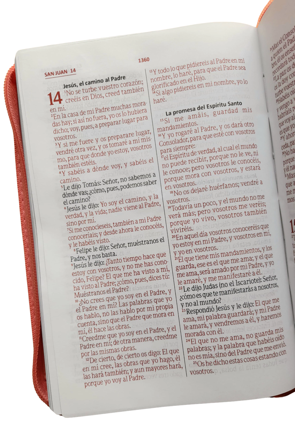 Reina Valera 1960 rosa y beige compacta concordancia cierre letra 9 puntos