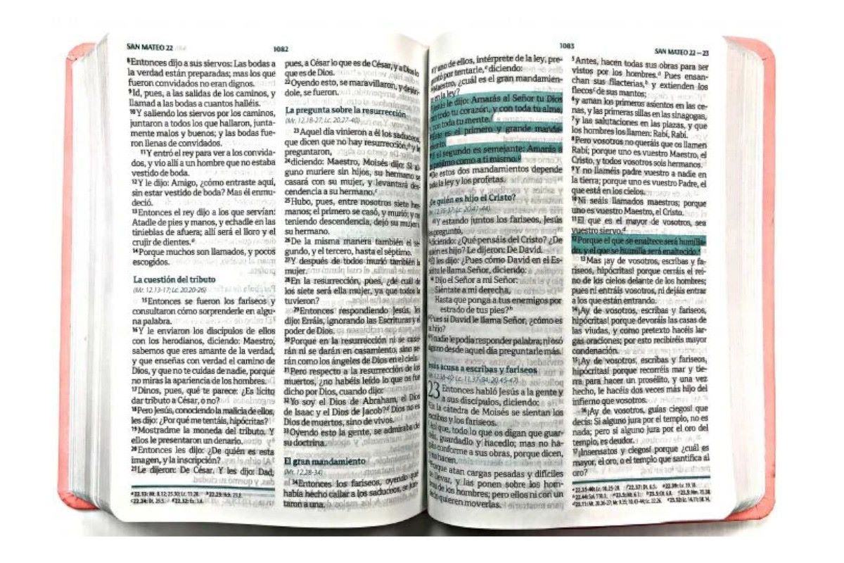 Biblia RVR1960 mediana rosa concordancia