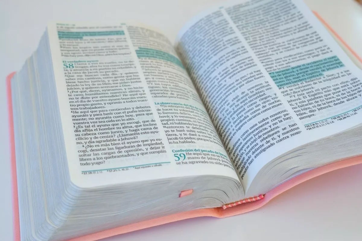 Biblia RVR1960 mediana rosa concordancia