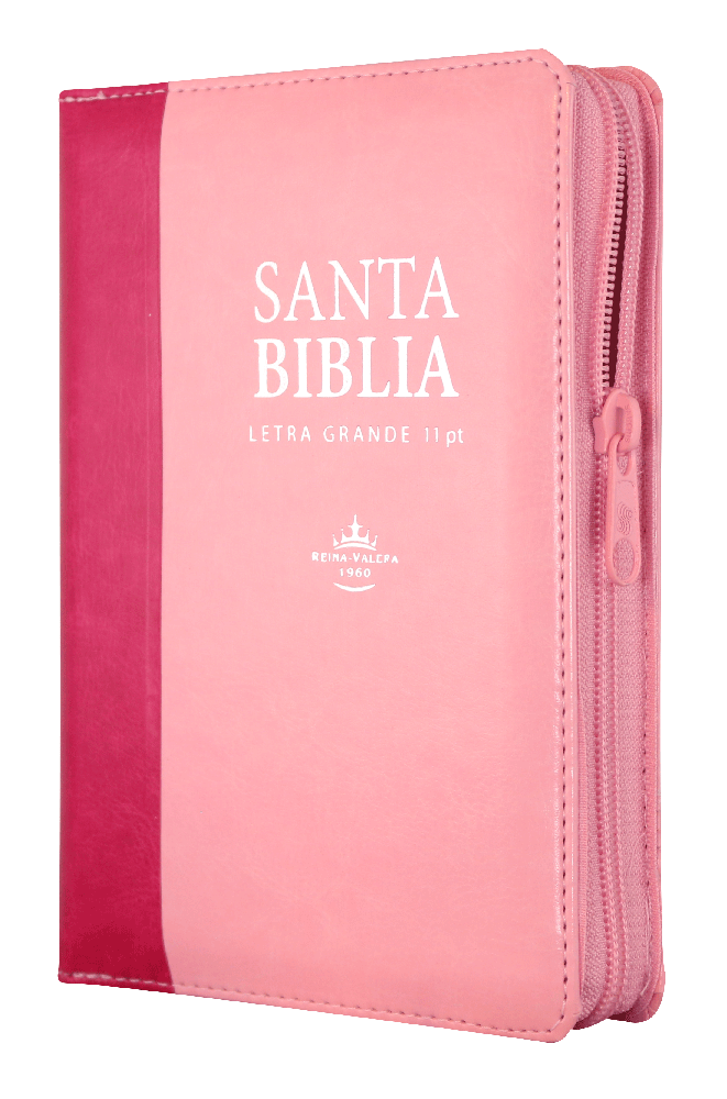 Biblia Reina Valera 1960 compacta bicolor rosado letra grande