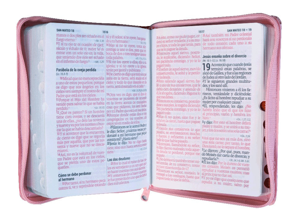 Biblia Reina Valera 1960 compacta bicolor rosado letra grande