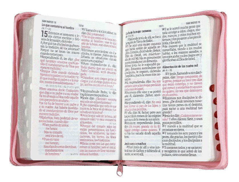 Biblia Reina Valera 1960 Letra Gigante 14 puntos cierre índice Tapa PU rosa café