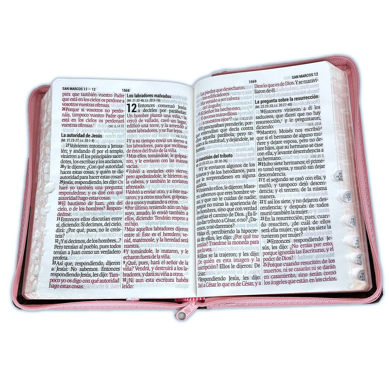 Biblia Reina Valera 1960 Letra Gigante 14 puntos cierre índice Tapa PU rosa café