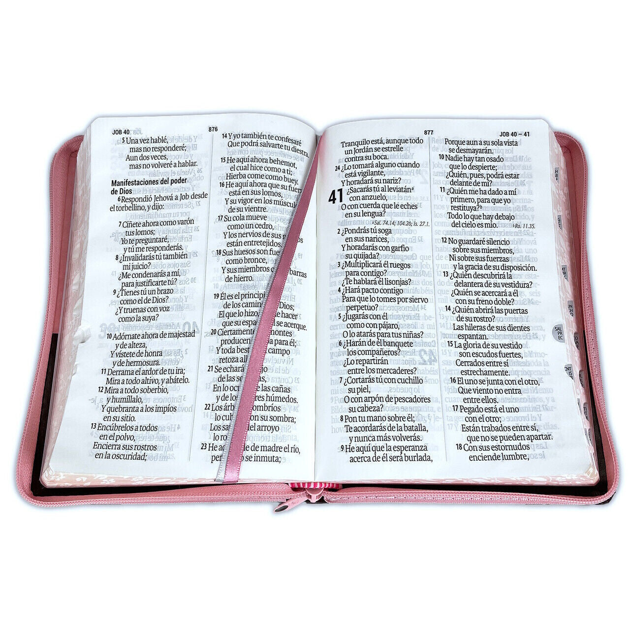 Biblia Reina Valera 1960 Letra Gigante 14 puntos cierre índice Tapa PU rosa café