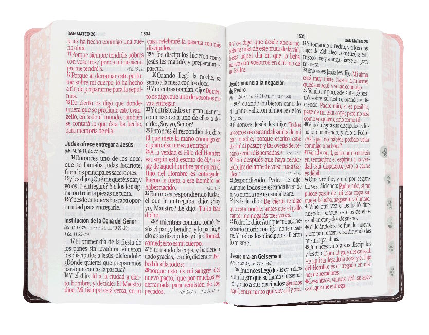 Biblia Reina Valera 1960 Letra Gigante 14 puntos cierre índice Tapa PU rosa café