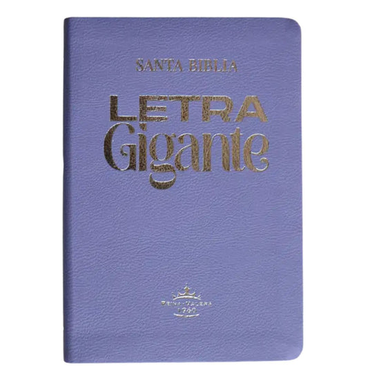 Biblia Rvr 1960 Letra Gigante 14 Pts. Concordancia Lila