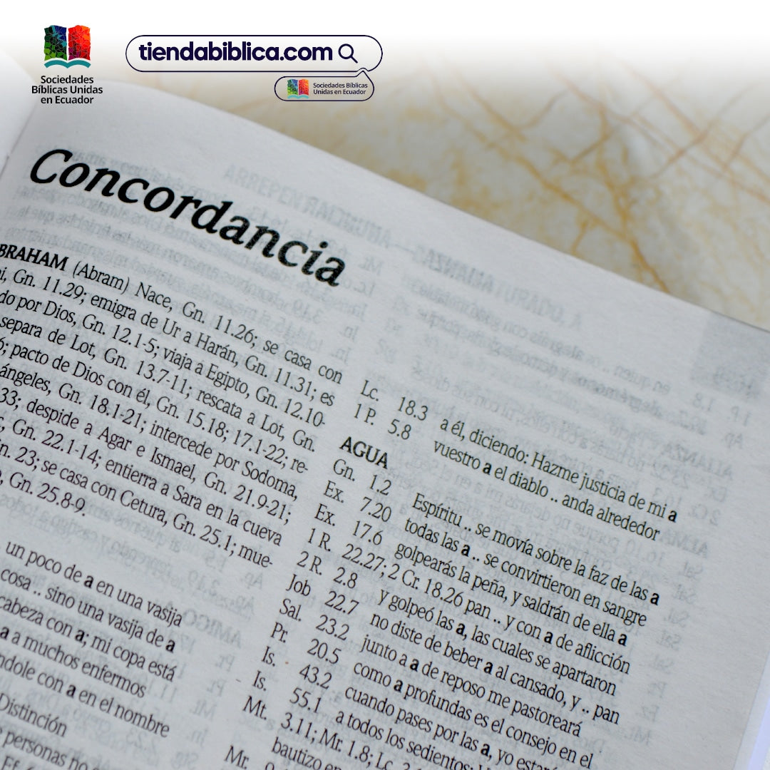 Biblia Rvr 1960 Letra Gigante 14 Pts. Concordancia Verde