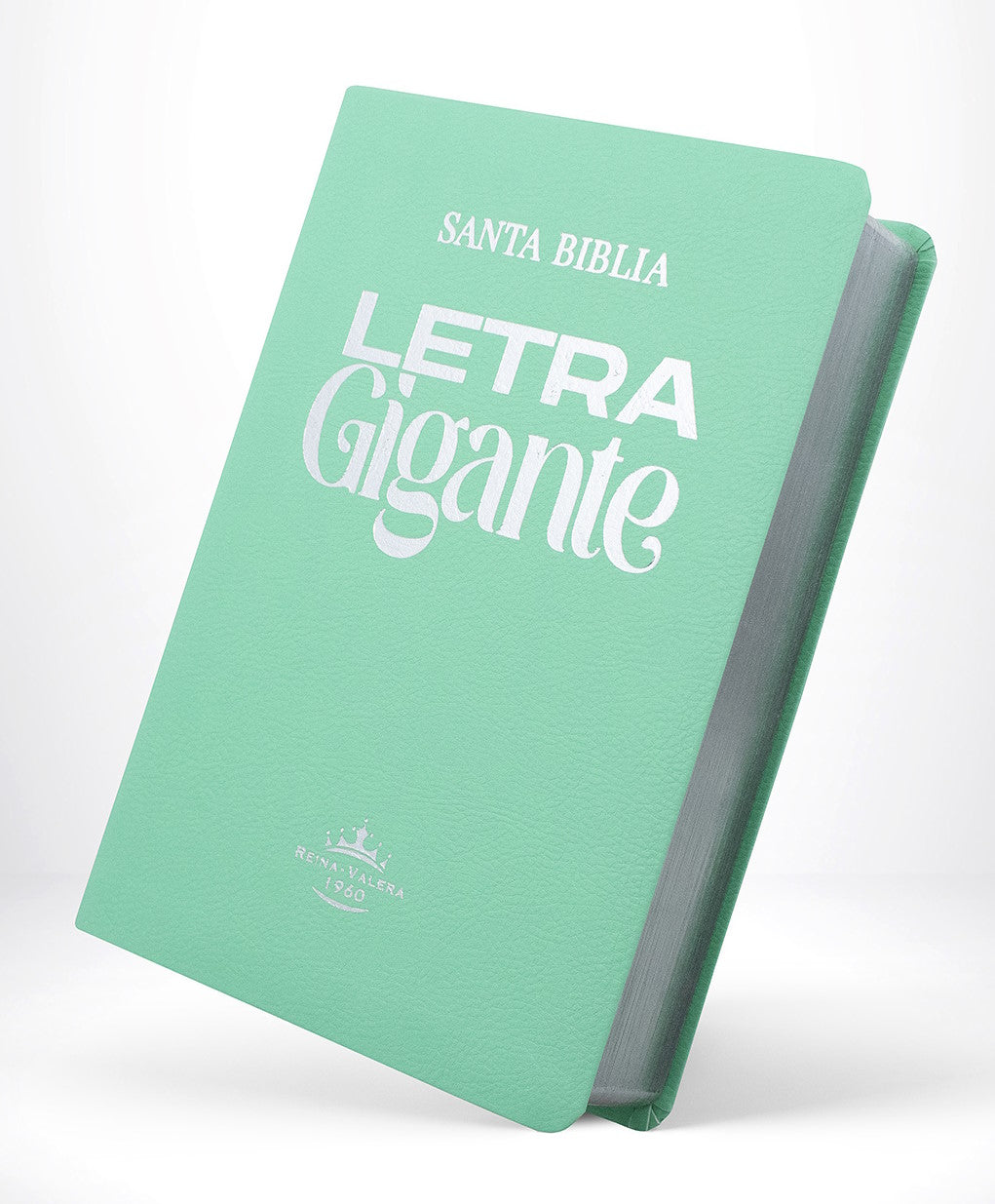 Biblia Rvr 1960 Letra Gigante 14 Pts. Concordancia Verde