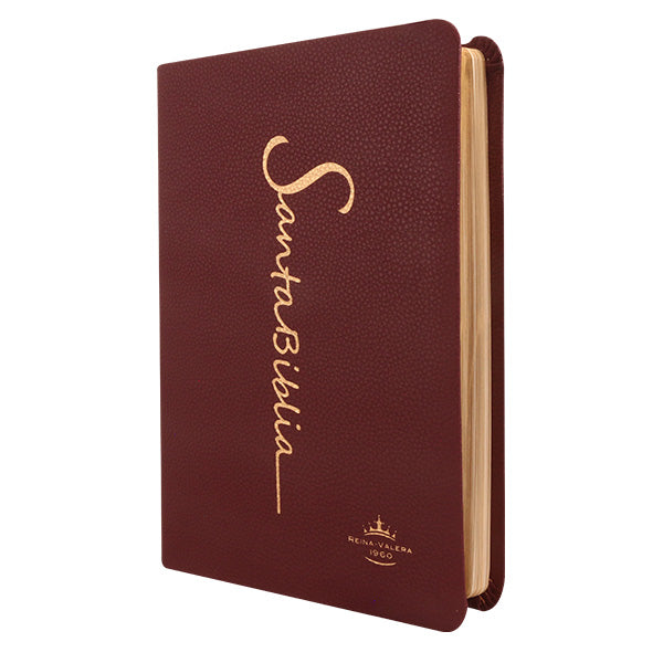 Biblia Reina Valera 1960 Mediana Letra Grande Imitación Piel Vino
