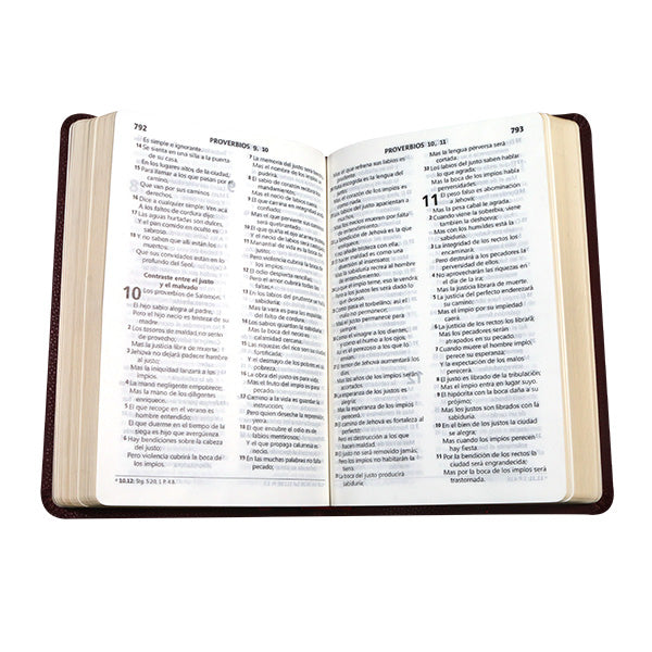 Biblia Reina Valera 1960 Mediana Letra Grande Imitación Piel Vino