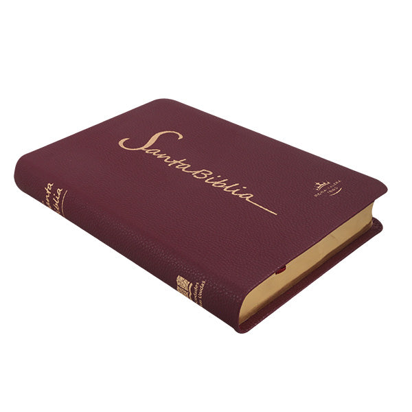 Biblia Reina Valera 1960 Mediana Letra Grande Imitación Piel Vino