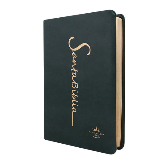 Biblia Reina Valera 1960 Mediana Letra Grande Imitación Piel Verde Oscuro