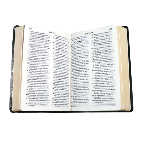 Biblia Reina Valera 1960 Mediana Letra Grande Imitación Piel Verde Oscuro