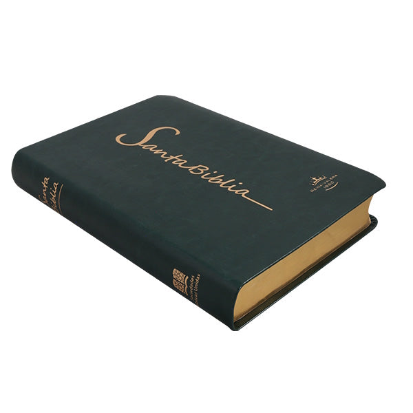 Biblia Reina Valera 1960 Mediana Letra Grande Imitación Piel Verde Oscuro
