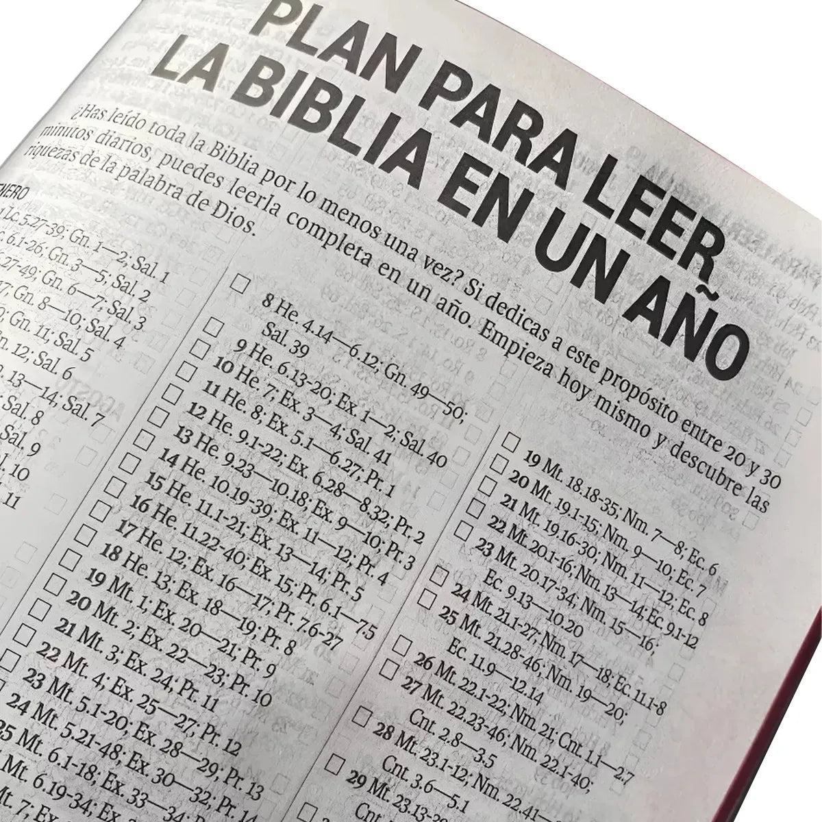 Reina Valera 1960 Letra grande canto rojo