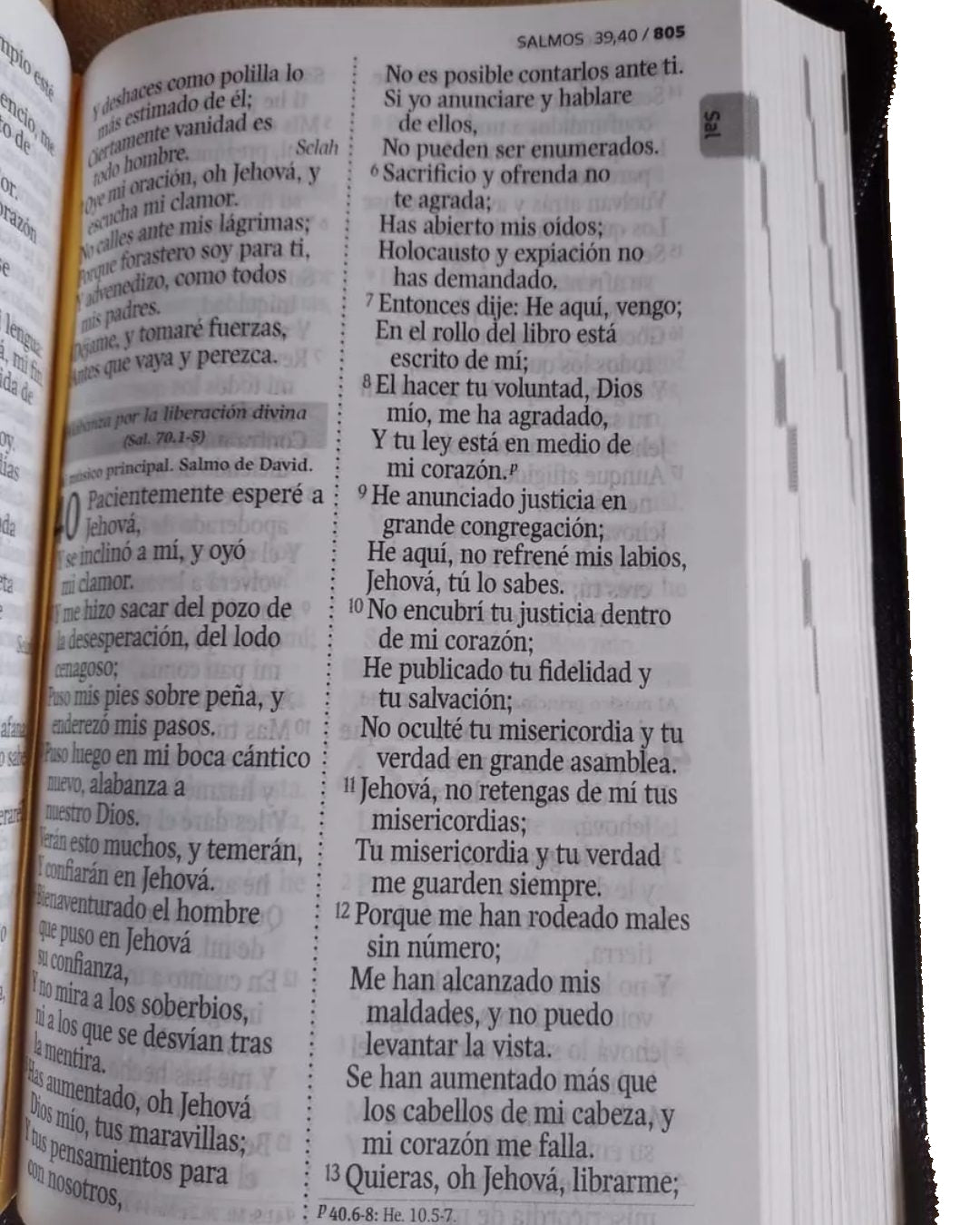 Biblia RVR60 Letra Grande 14 pts con ayudas Digitales – rosado azul con cierre
