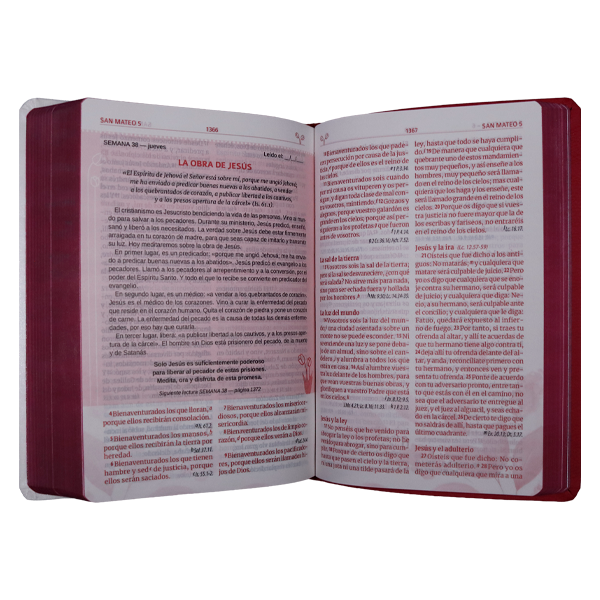 Biblia Reina Valera 1960 Madres que interceden Letra Grande Imitación Piel Fucsia/Rosa
