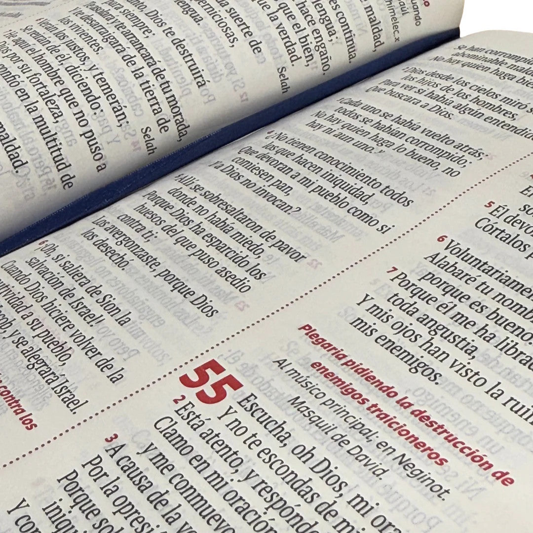 Biblia Reina Valera 1960 Letra Grande Cierre  Rojo anaranjado