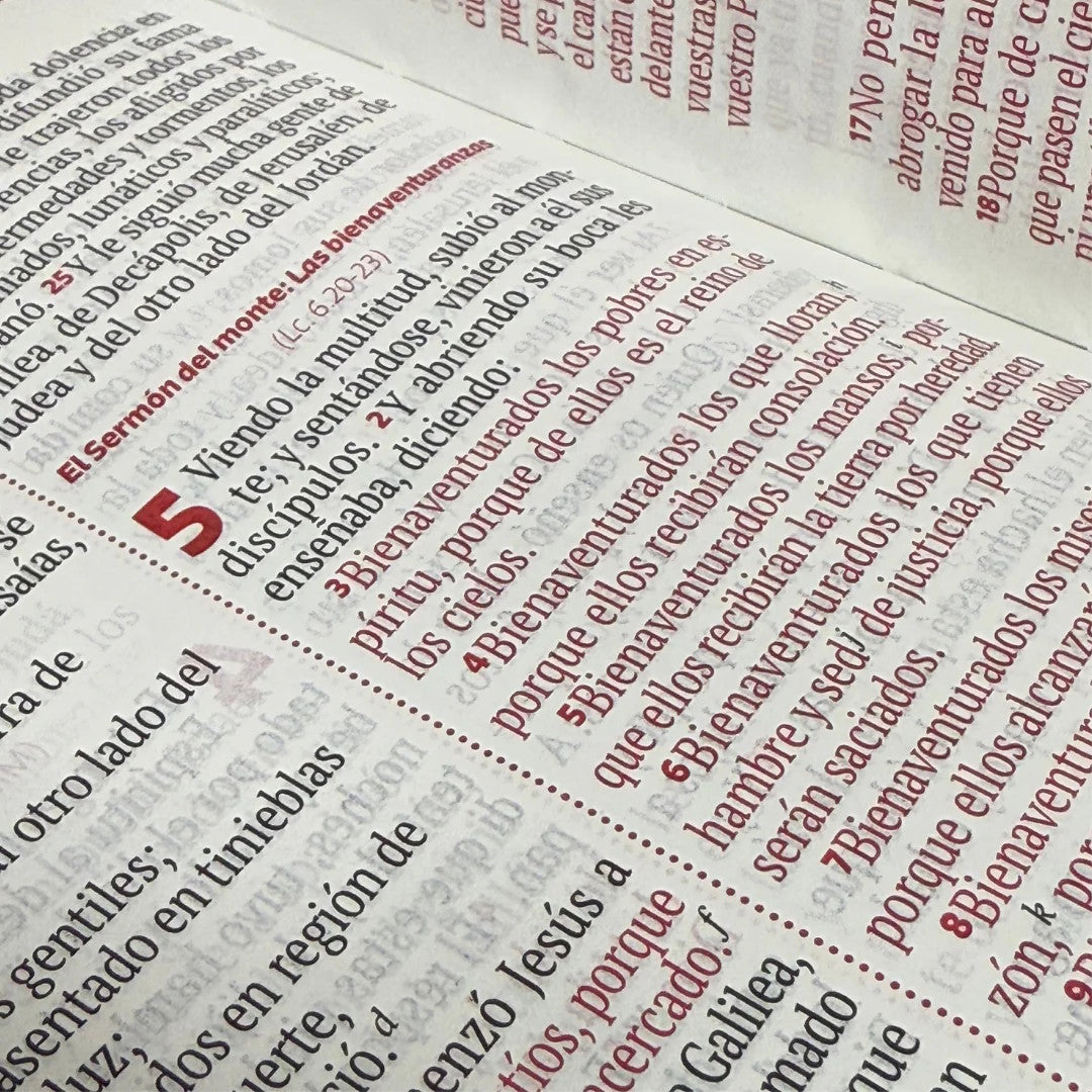 Biblia Reina Valera 1960 Letra Grande Cierre  Rojo anaranjado