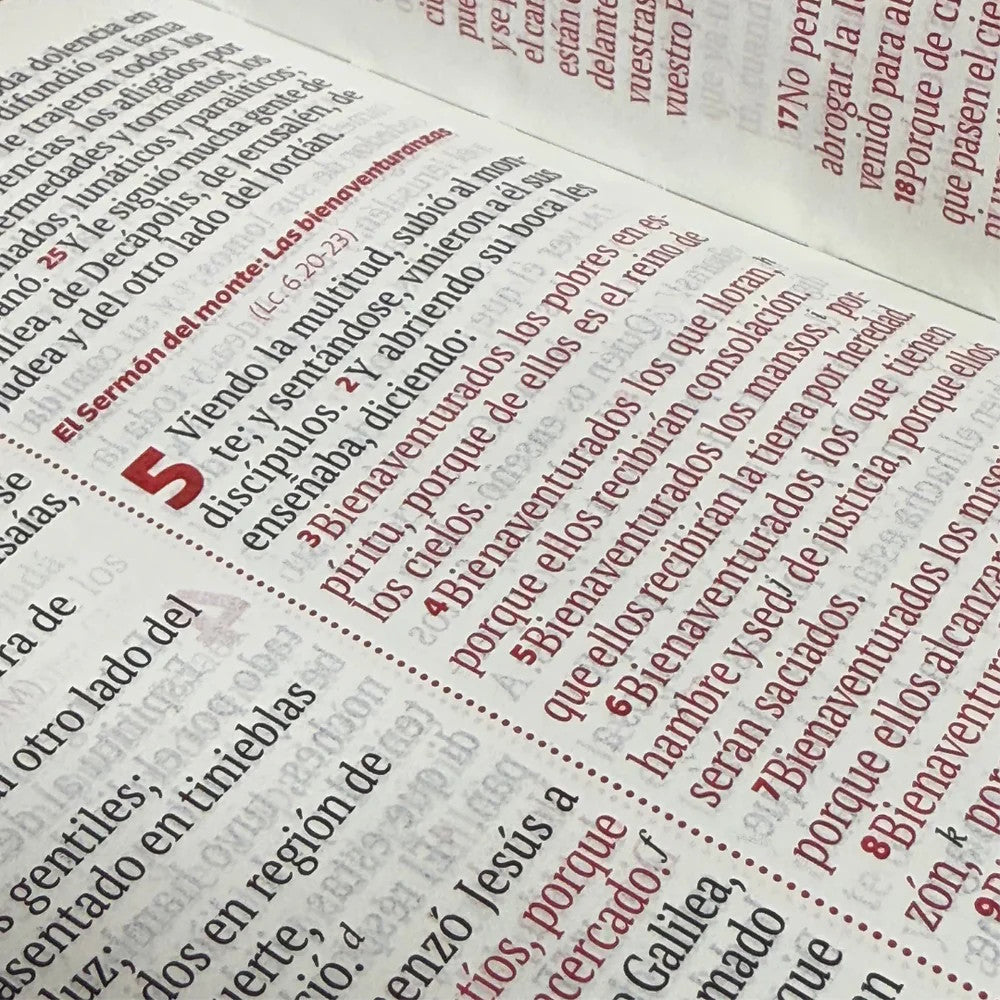 Biblia Reina Valera 1960 Letra Grande 12 Puntos Café Cierre