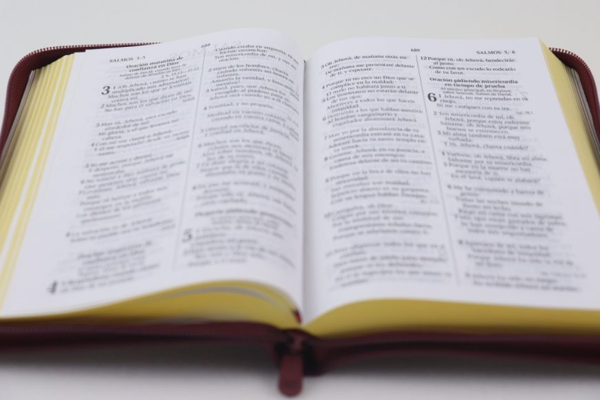 Reina Valera 60 concordancia cierre color negro tamaño agenda