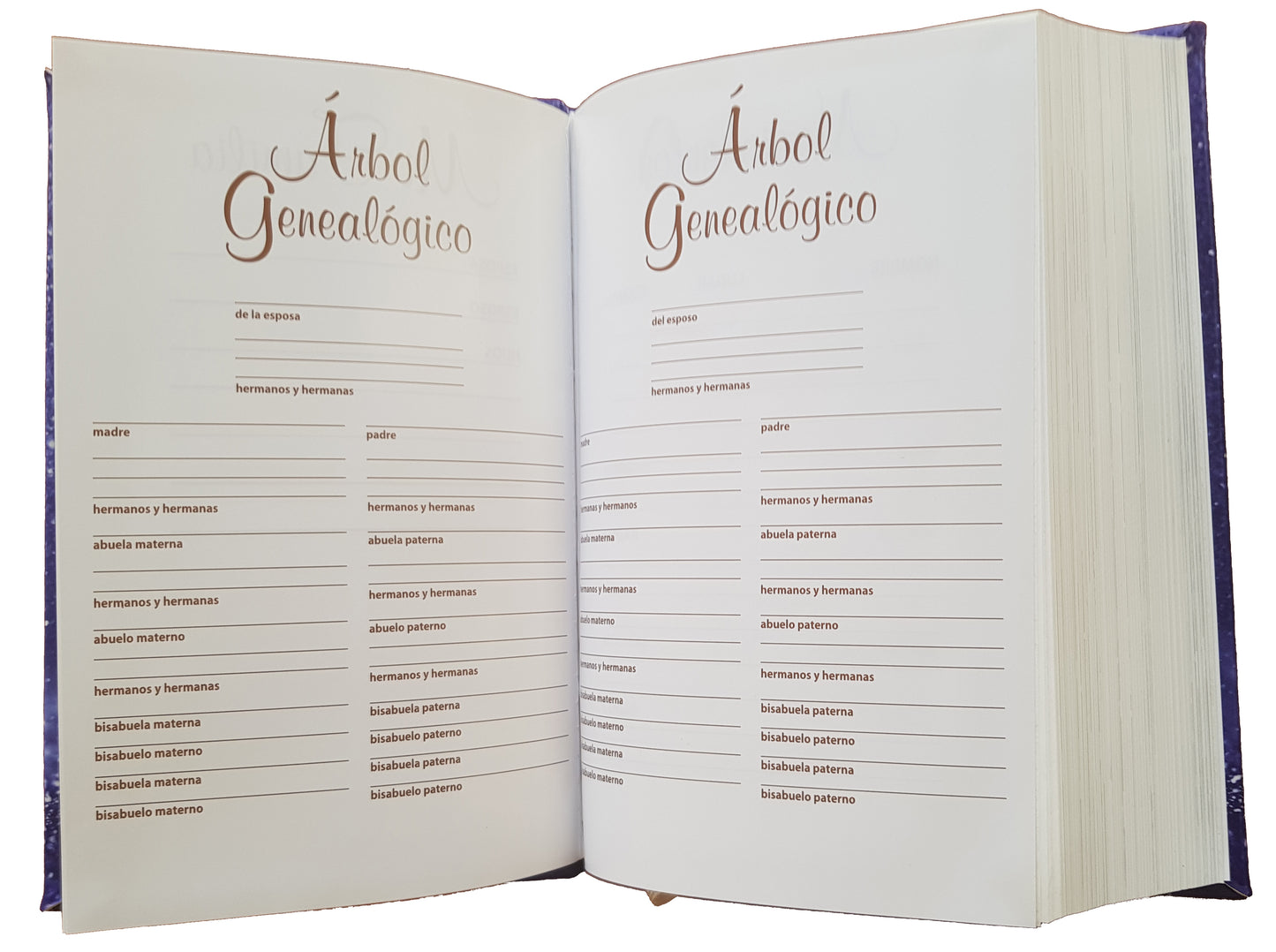 Biblia para la familia TLA regalo bodas