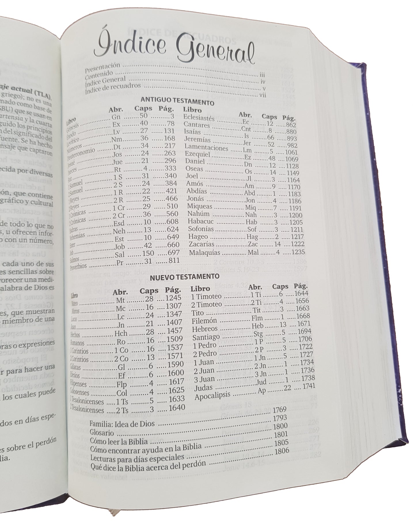 Biblia para la familia TLA regalo bodas