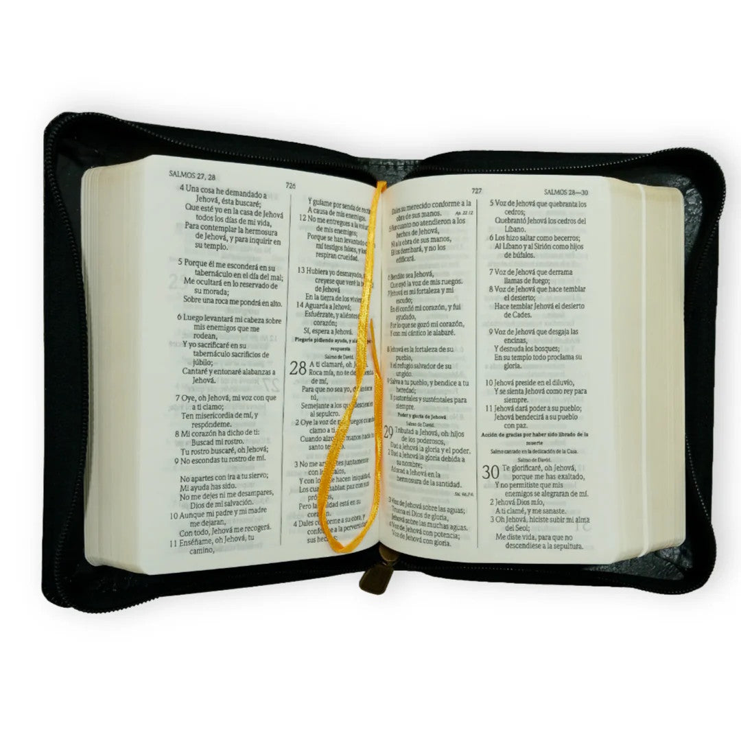 Biblia Reina Valera 1960 de bolsillo con cierre color negro