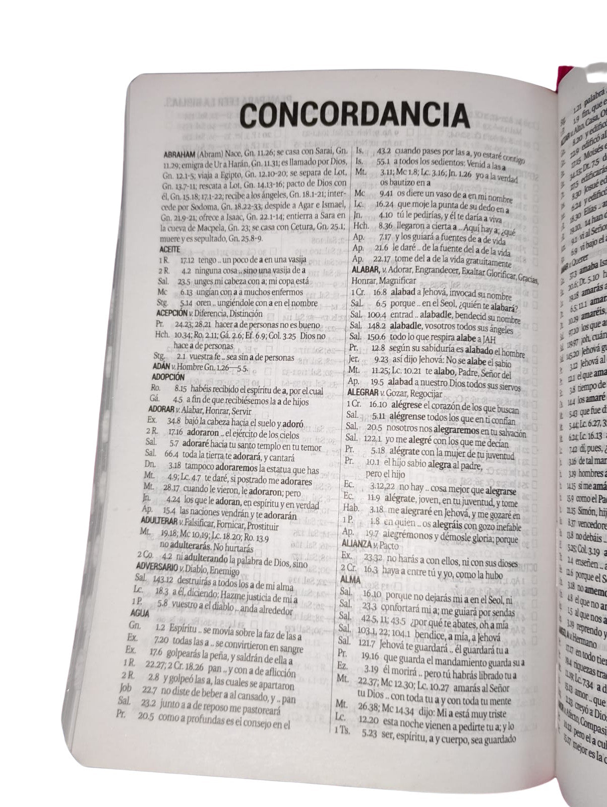 Bibila RVR1960 letra grande cierre índice lila