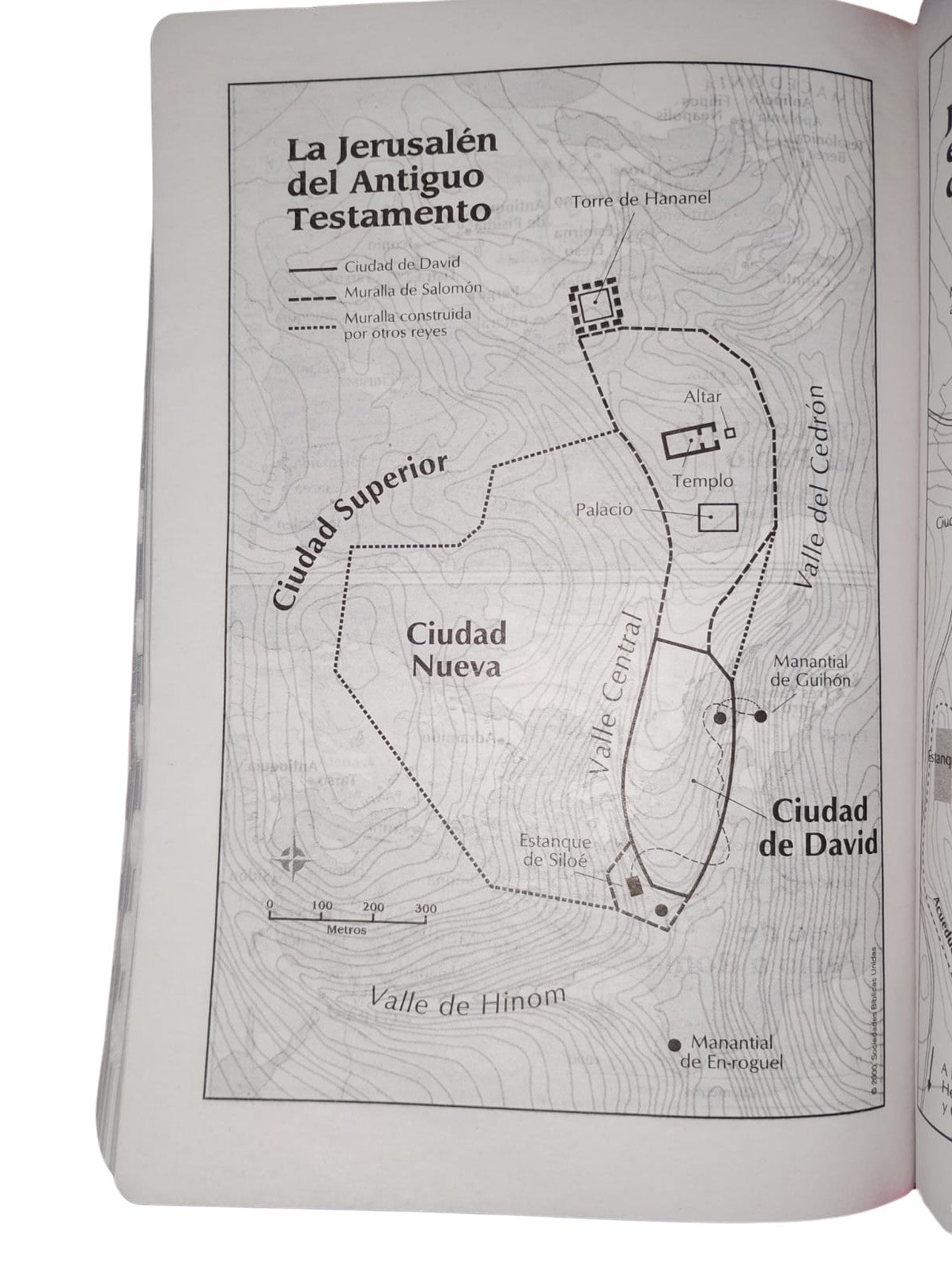 Bibila RVR1960 letra grande cierre índice lila