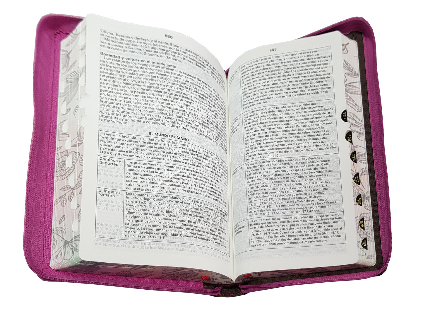 Biblia RVR1960 Letra Grande Rosa y Café