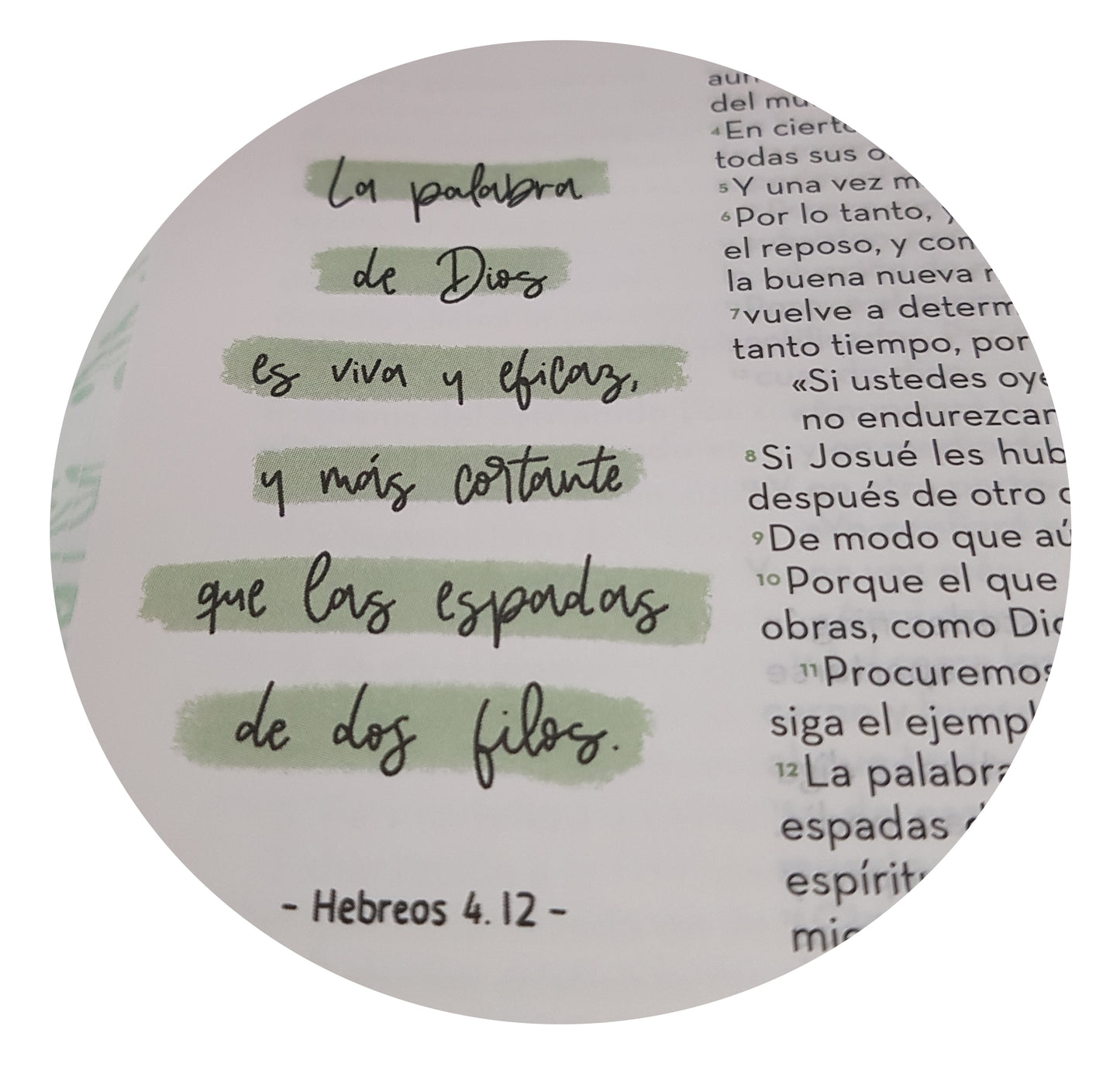 Biblia Arte RVC devocionales lettering