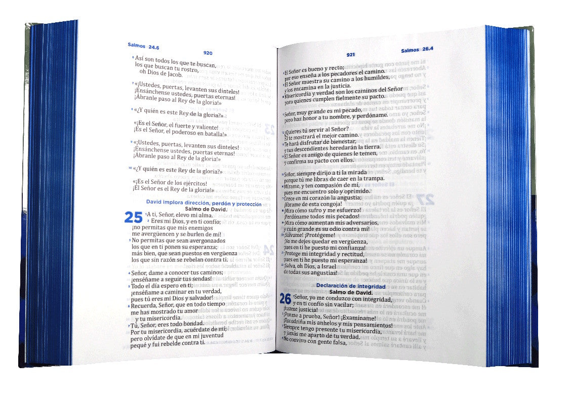 Biblia pastoral con ceremonias RVC tapa dura