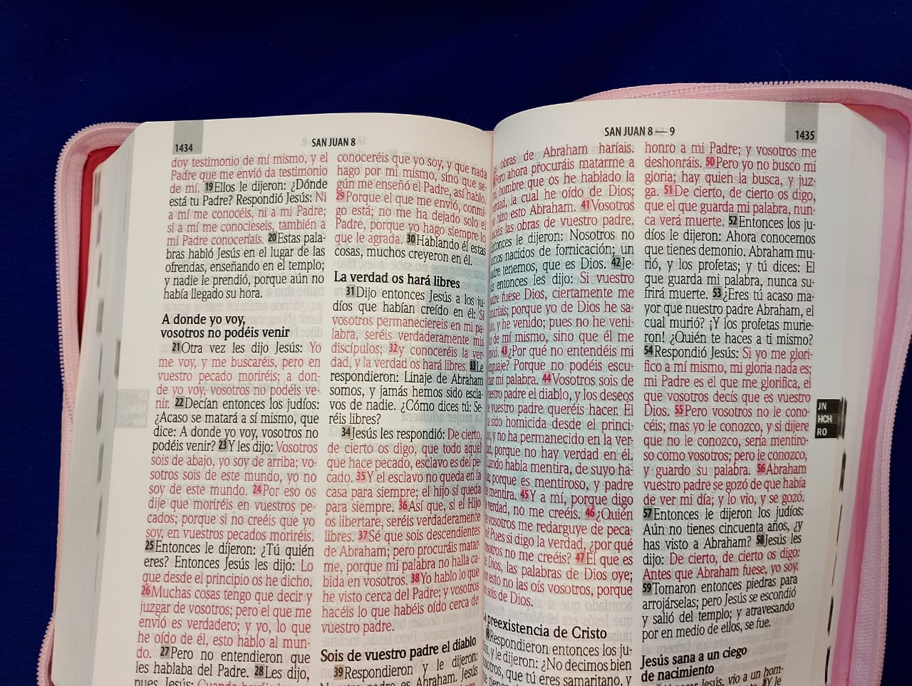 Biblia Reina Valera 1960 Letra Gigante Con Cierre Rosado bicolor