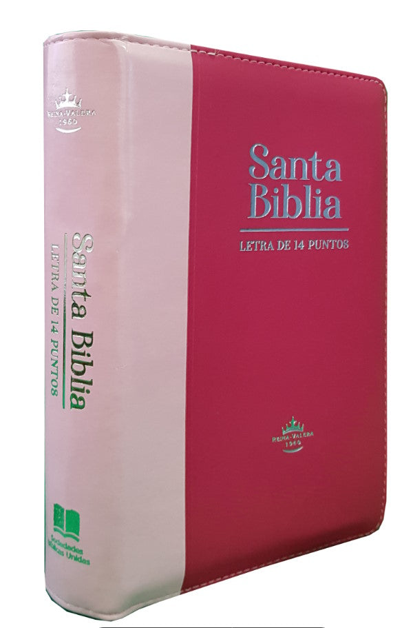 Biblia Reina Valera 1960 Letra Gigante Con Cierre Rosado bicolor